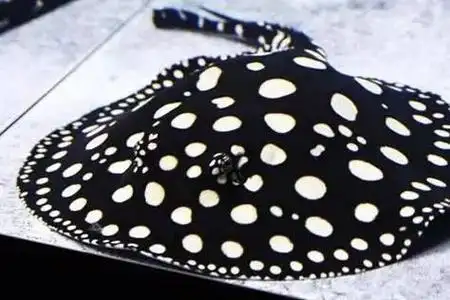 如果你要问我,为什么这货叫黄金鱼,其实我也不知道.