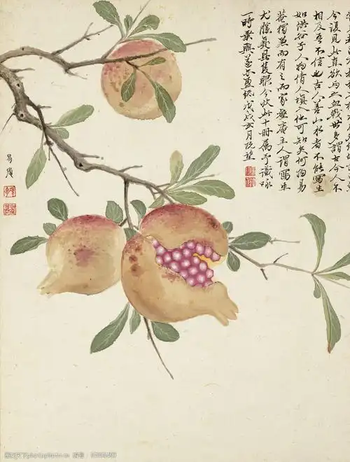 关键词:花卉石榴 项圣谟 国画 册页 小品 字画 设计 文化艺术 绘画