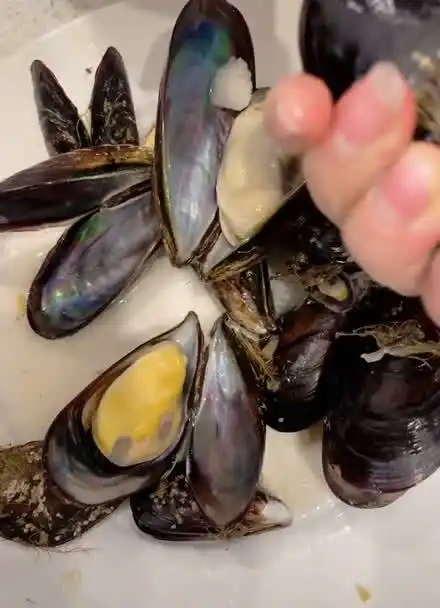 青口贝哪里不能吃?