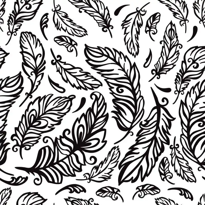 用羽毛黑白相间的花纹