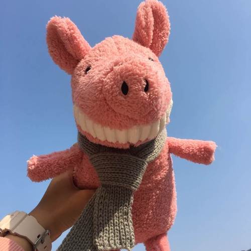 微笑大小猪公仔娃娃恐龙毛绒玩具牙可爱丑萌抱玩偶睡觉枕女生床上