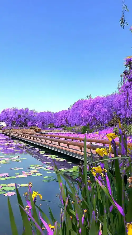 好的风景是让人看了心情愉悦的