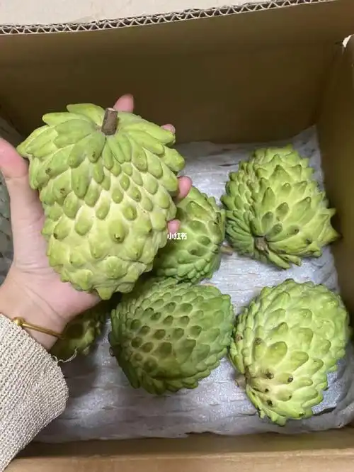 pdd9661斤释迦果软糯香甜