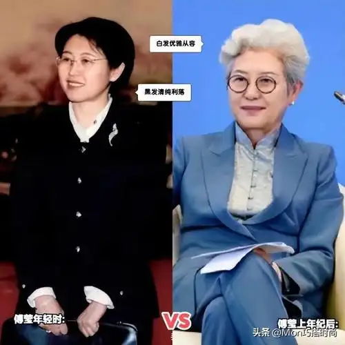 尤其是在"中国最美外交官"之称的傅莹满头白发时的优雅气质,更是刷新