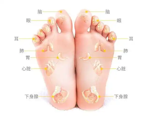 脚是最脏的二毫米2