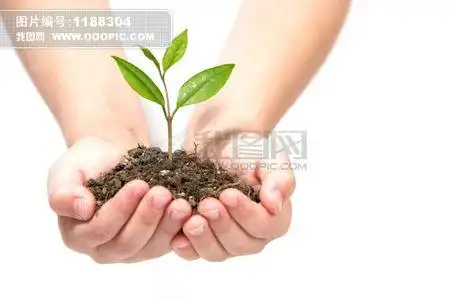 手捧小树苗的画.黑白画急急急急急