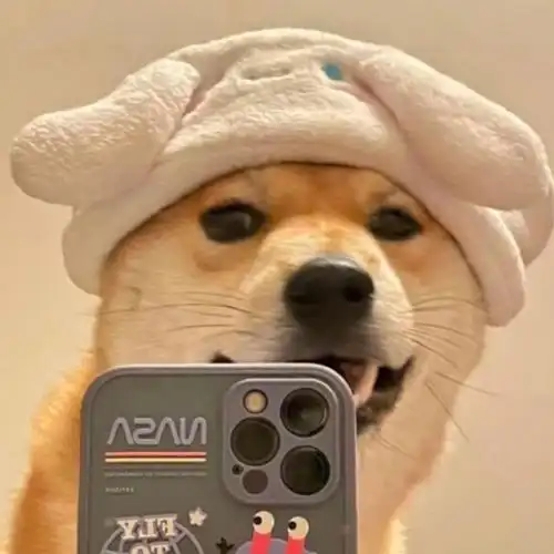 自拍的阿柴狗子头像