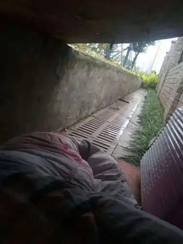 调整幅度不大,马上又要过年了,梭哈搞不好年后睡桥洞_易方达蓝筹精选