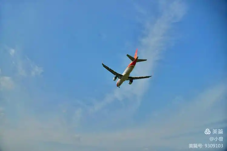 《越过头顶飞过的飞机》 摄影:小曾