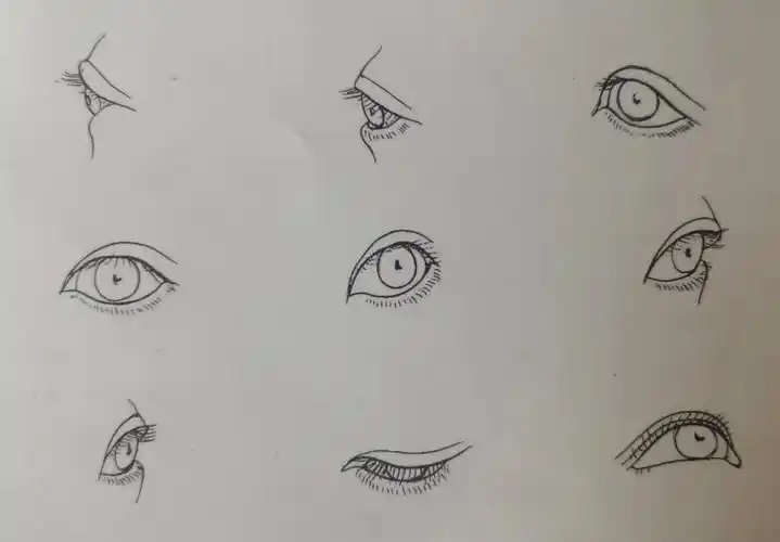 国画线描人物写生眼眉鼻嘴耳须发