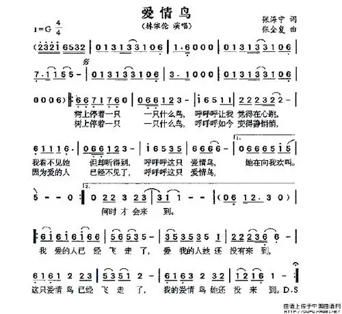 爱情鸟简谱
