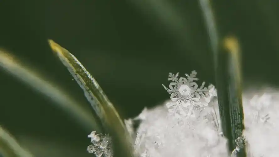 > || 更新时间:2018-08-20 颜色分 银色 关键词:  唯美意境 雪花 唯美