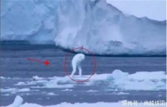 南极大陆发现神秘怪物拥有人类的双手能潜入海底8000米
