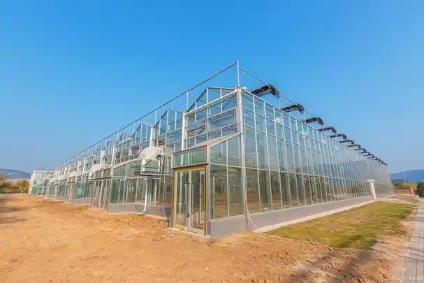 相比于传统的木结构或塑料结构,钢结构温室大棚具有更高的强度和稳定