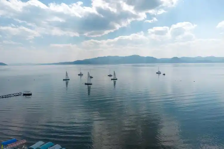 云南玉溪抚仙湖樱花谷