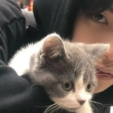 和小动物一起的暖男头像合集