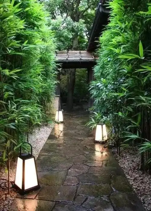 一起走进庭院绿篱的世界(多图)_植物造景_中国风景园林网|中国风景园