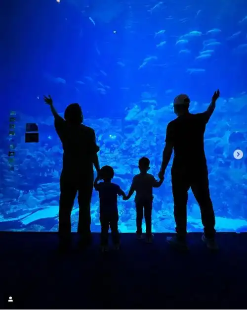 26日,胡杏儿又po出了一家四口到海洋世界游玩的照片,惬意生活简直羡煞