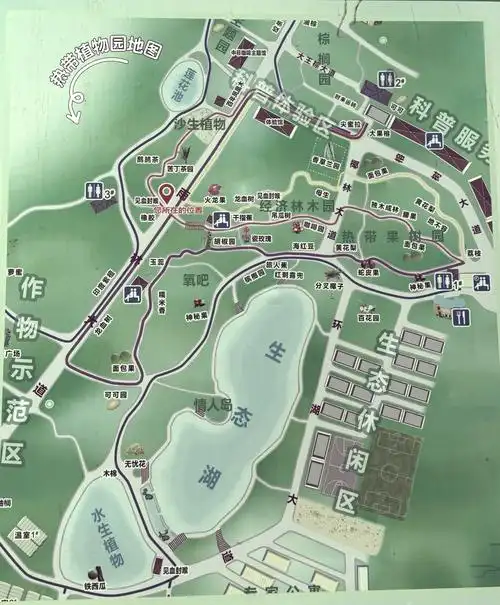 🌴兴隆热带植物园探秘之旅🌴