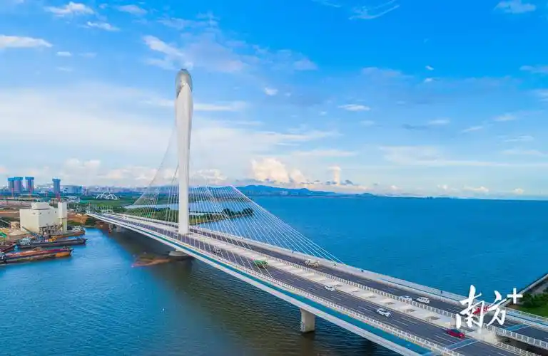 滨海湾这四座桥梁闪耀出圈_大桥_湾区_的设计