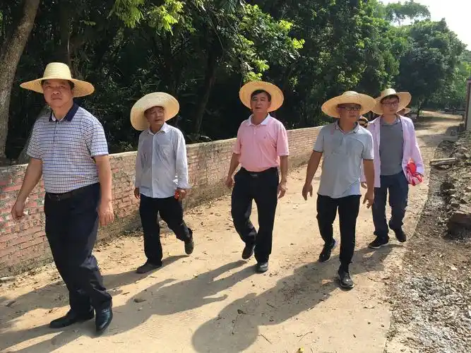 梁国健欧洪泽到生江镇指导