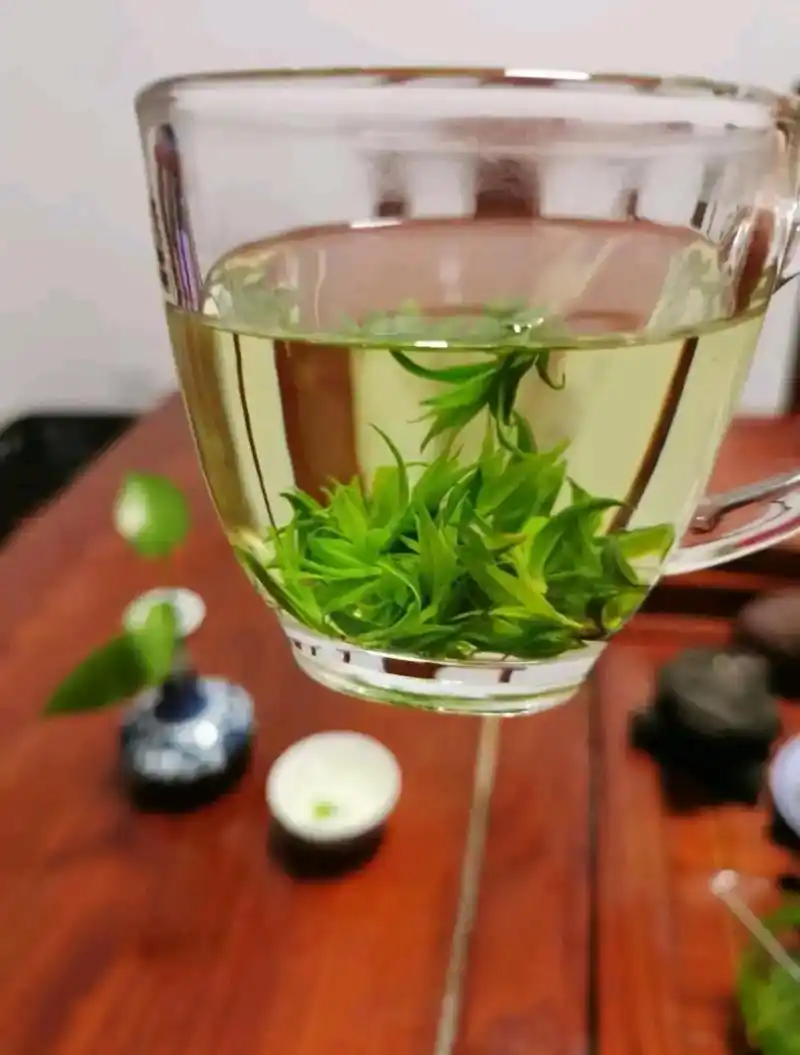 贵州余庆小叶苦丁茶