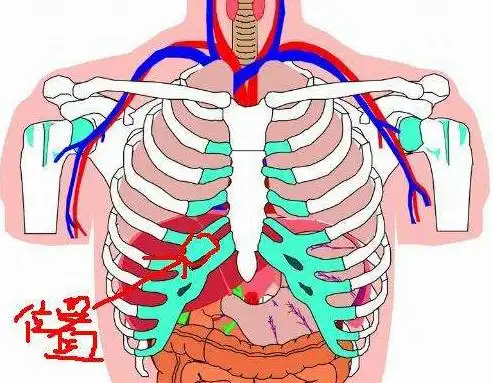 疼痛肝区疼痛说明你的身体出现问题了