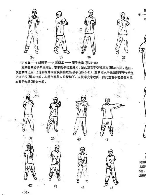 咏春拳自学资料整理