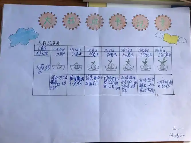 感受生命的期盼——三·一小荷花中队植物观察优秀作品展!