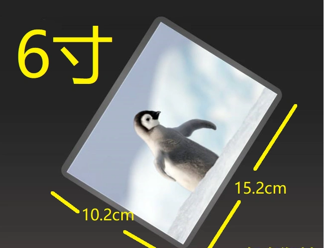 6寸照片的尺寸是多少