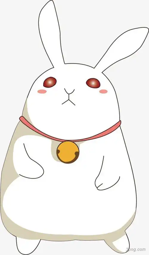 白色小兔子png素材透明免抠图片-动植人物