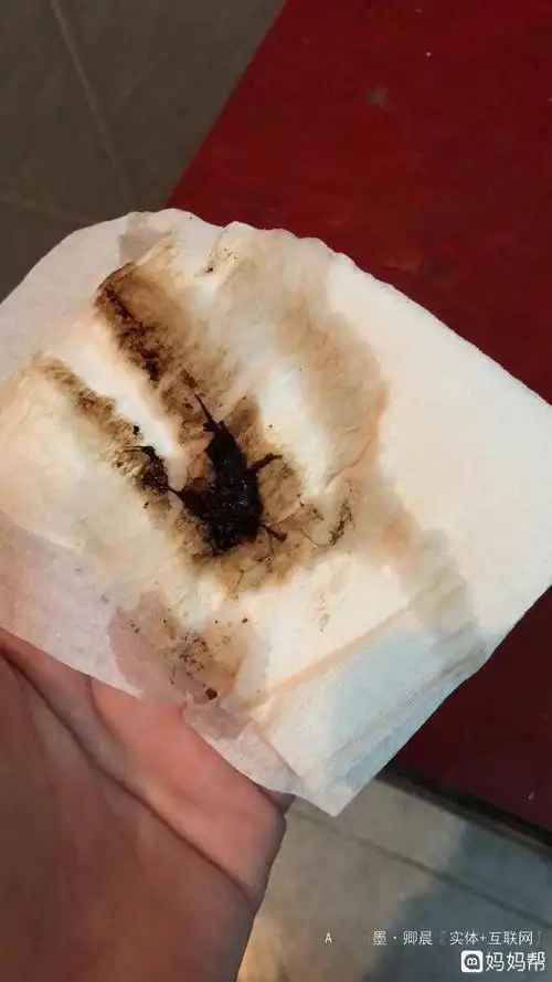 怀孕初期出血了怎么办啊