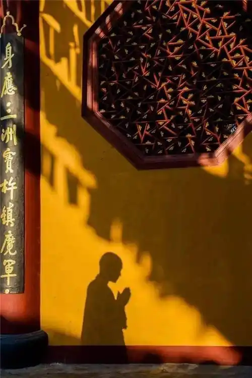 这是一种入定的禅意么?非也.