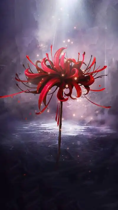 单只彼岸花 - 堆糖,美图壁纸兴趣社区