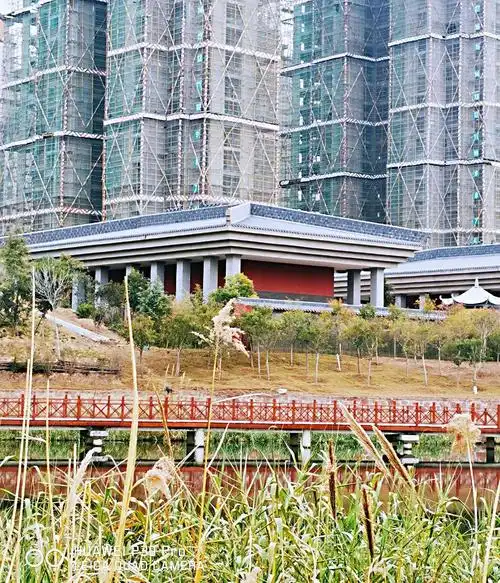 南龙湖湿地公园