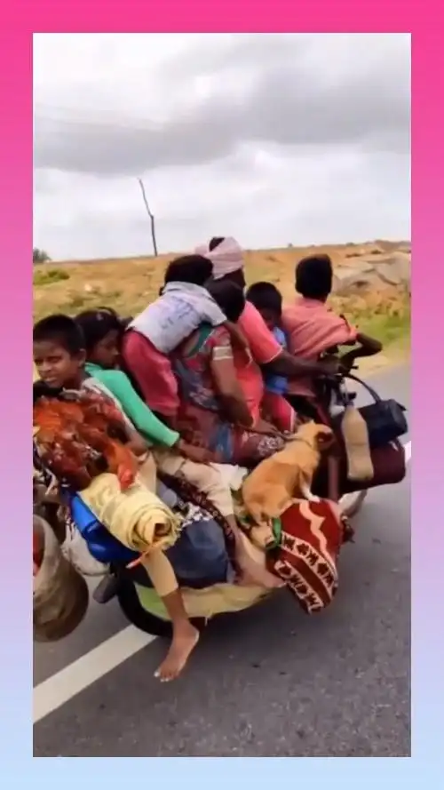 印度人的摩托车,不能随便坐,出事故一家人就没了!