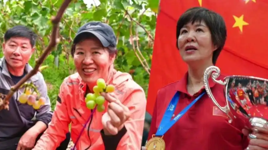 郎平又回家乡!中国女排传奇人物采摘瓜果很开心,这座小城太迷人