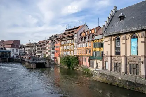 王巷子:移动的风景,莱茵河的浪漫 - 王巷子新闻网 - shfeini.cn