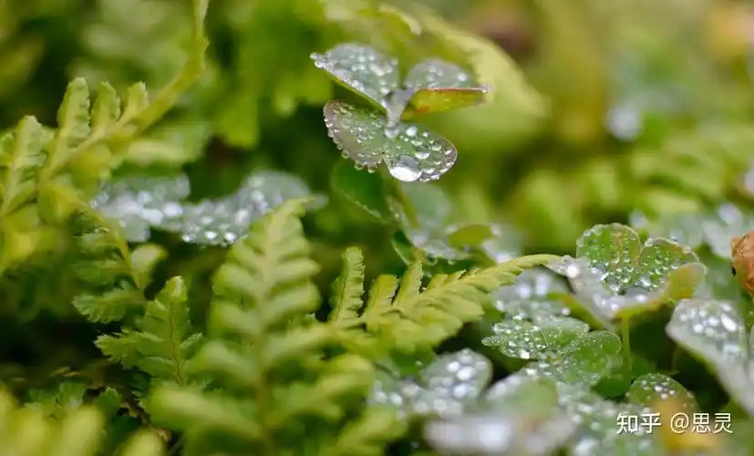 十二个月份的别称, 满满的都是诗意 - 知乎