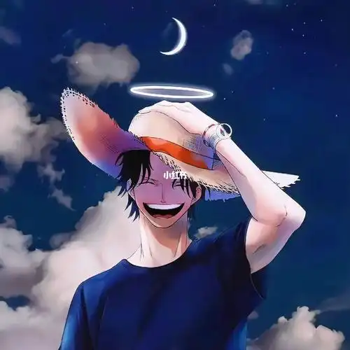 海贼王的男人动漫男生头像