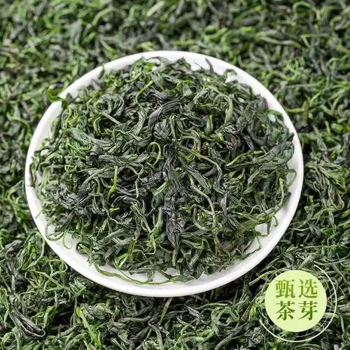 年新茶小叶苦丁茶青山绿水嫩芽苦丁茶叶花草茶罐装贵州野生食品酒