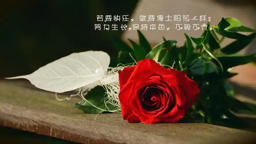 对现实生活的治愈说说图片