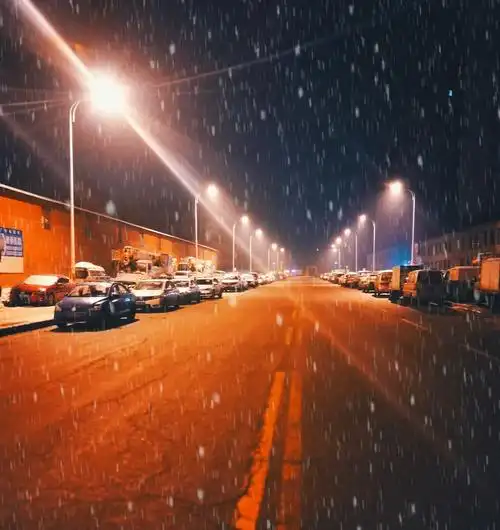 飘雪的夜晚