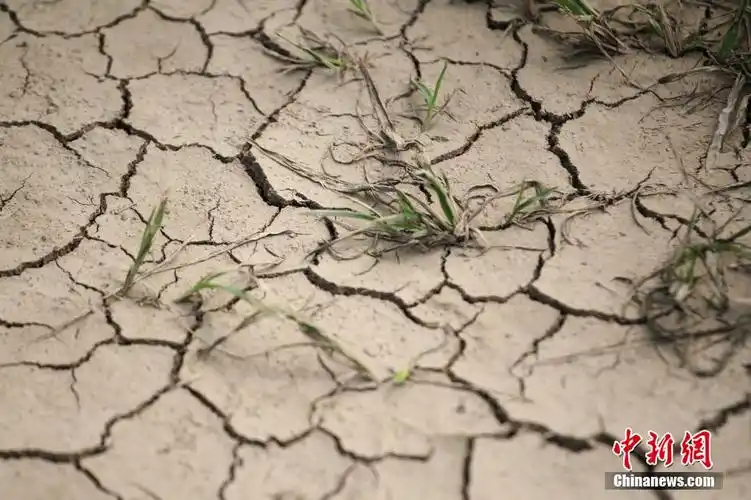 河南遇63年来最严重旱情逾24万人吃水困难