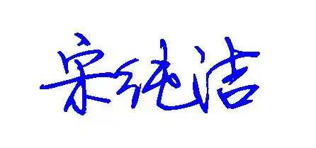 宋纯洁怎么写好看