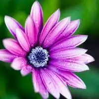 微信好景的图片_微信头像图片大全