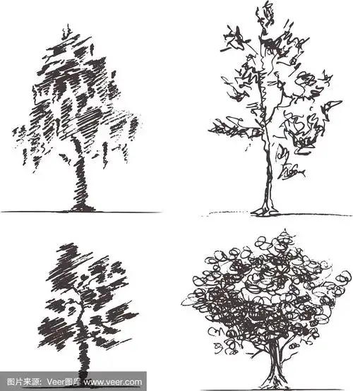 一组四棵素描树