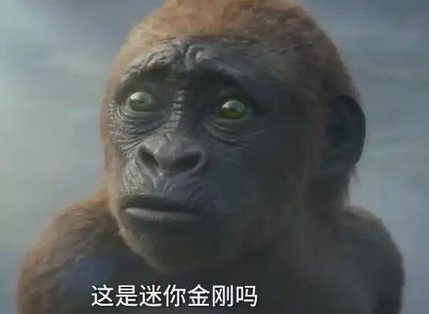 1天票房破1亿哥斯拉大战金刚2金刚一出场观众沸腾了
