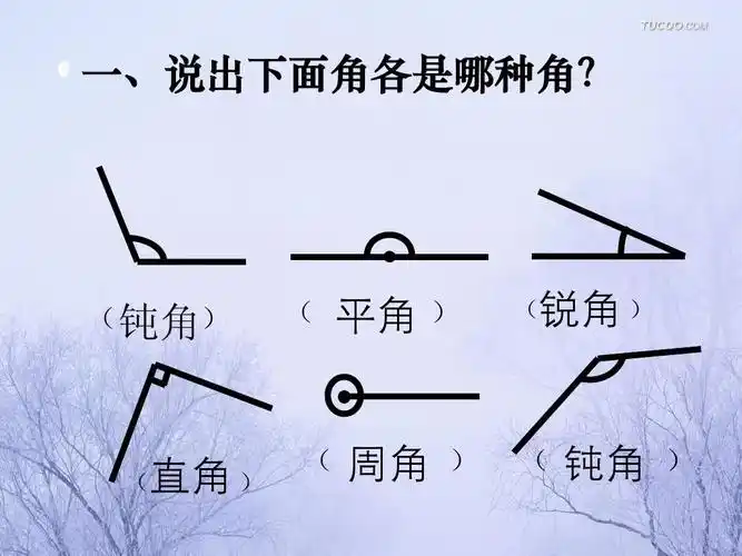 四,《角的画法》课件ppt_word文档在线阅读与下载_无忧文档