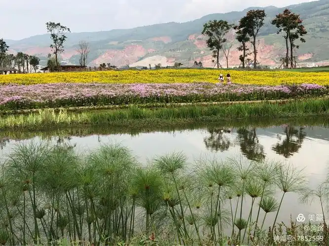 曲靖麒麟水乡一日游